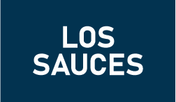 CONDOMINIO LOS SAUCES